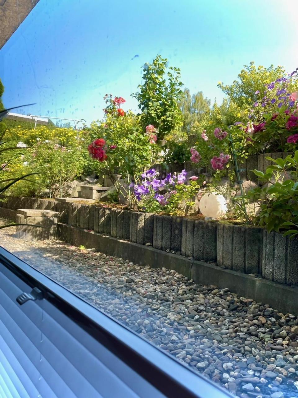Fewo Studio 'Ein Bett Im Kornfeld', Kueche, 30Qm, Souterrain Welver Exterior foto